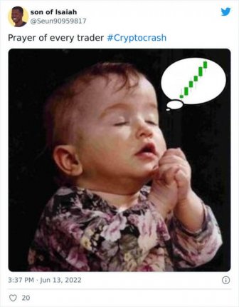 Memes About Crypto Crash