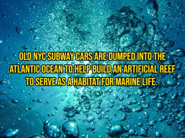 Interesting Facts, part 153