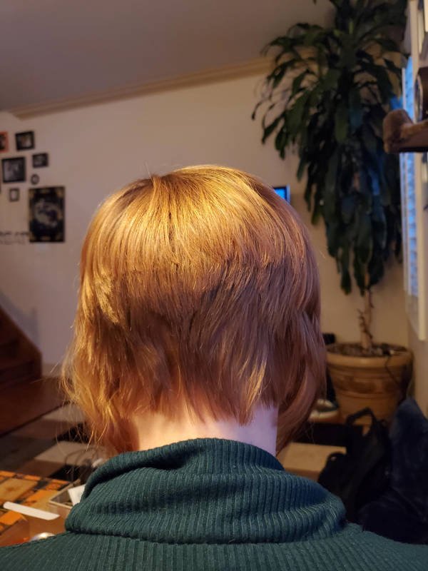Awful Haircuts, part 20