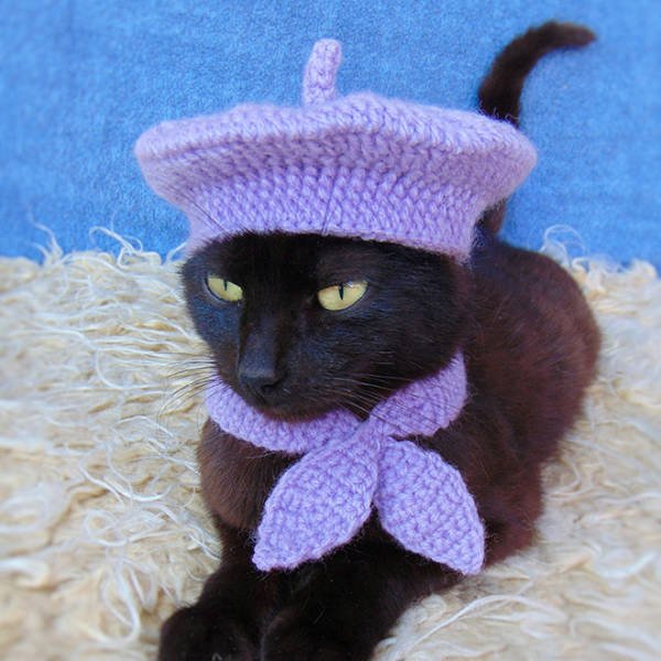 Funny Animals In Crochet Clothes