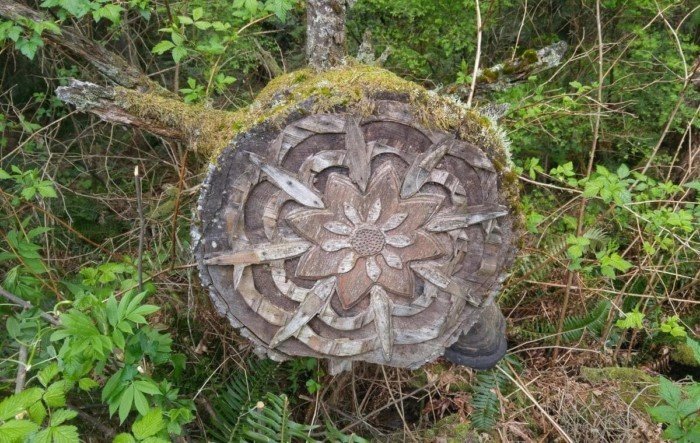 Interesting Finds In The Forests