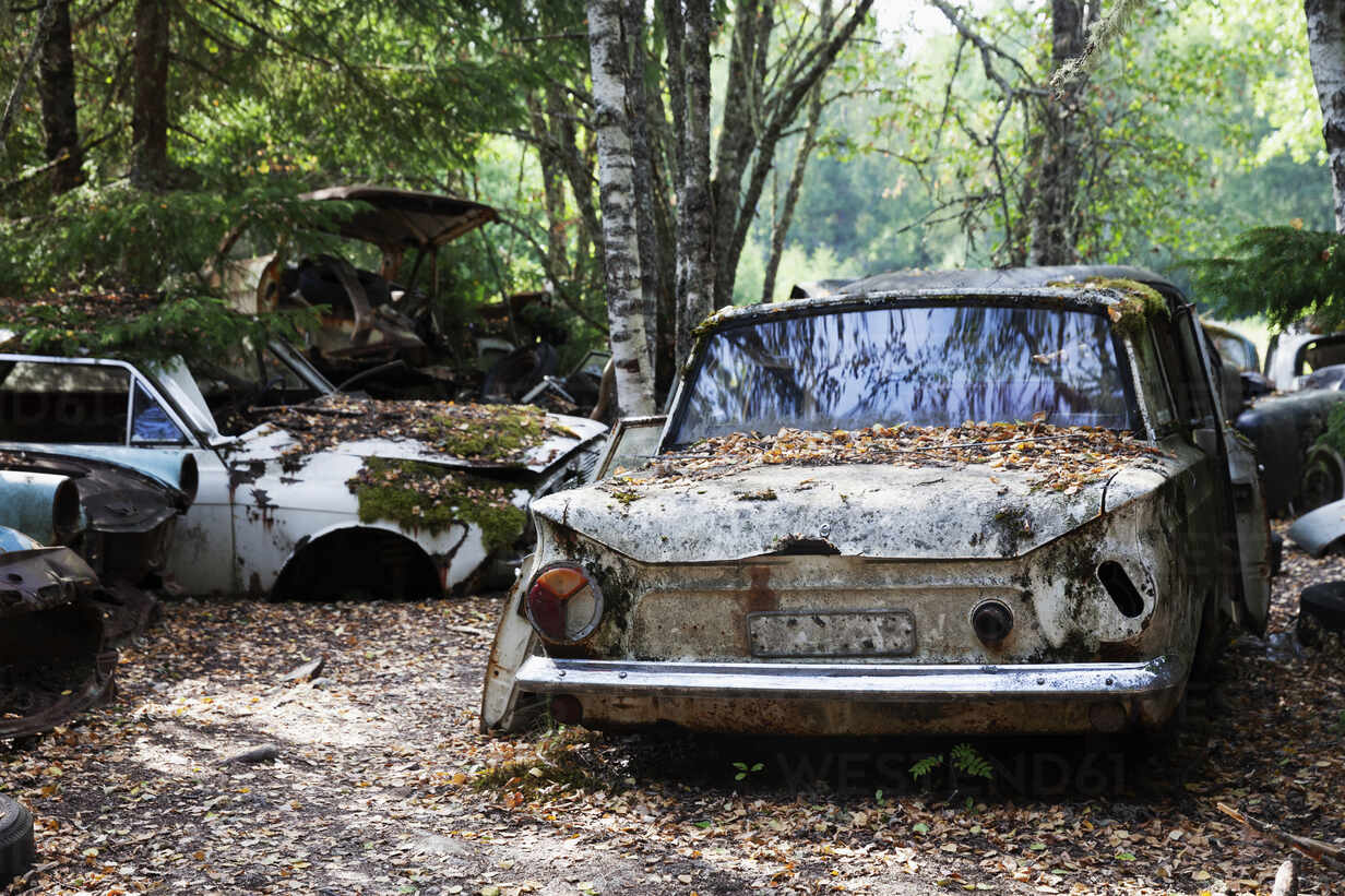 Awesome Abandoned Cars