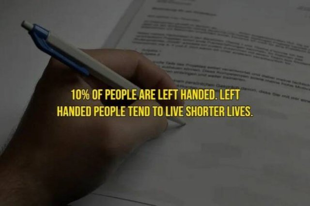 Interesting Facts About People