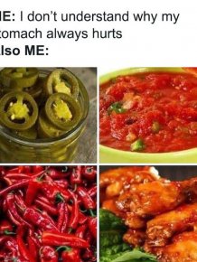 Funny Memes About Food