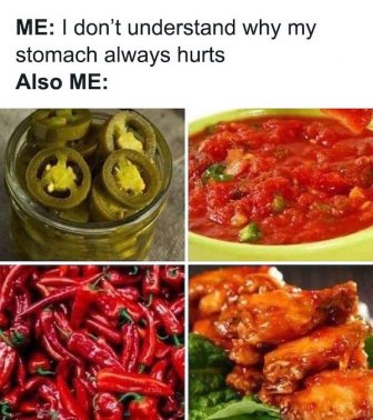 Funny Memes About Food