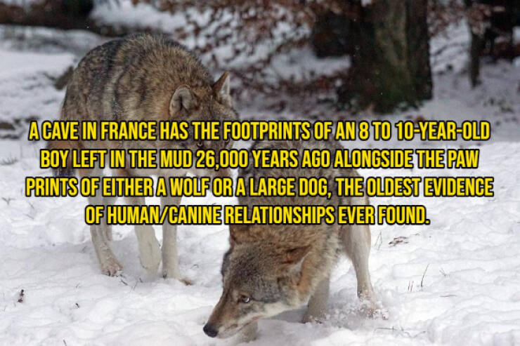 Interesting Facts, part 155