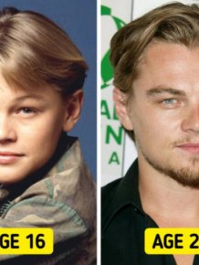 Celebrities In Their Younger Years And Today