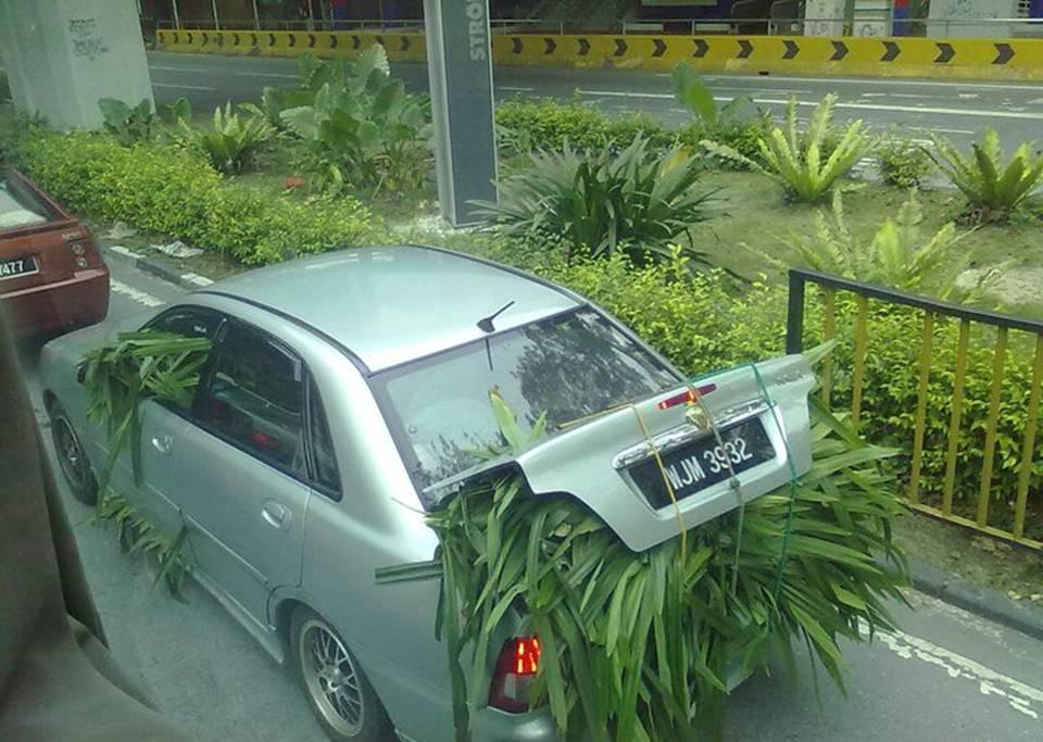 Strange Photos From Asian Countries, part 6
