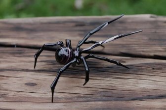 Unusual Creativity: Glass Spiders