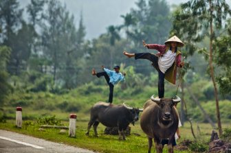 Strange Photos From Asian Countries