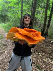People Find Giant Mushrooms