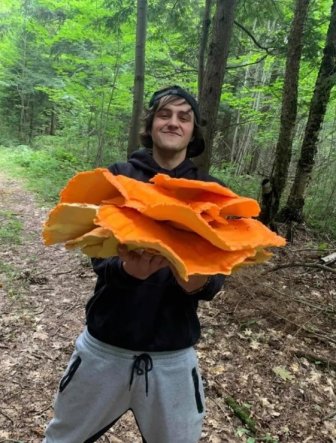 People Find Giant Mushrooms