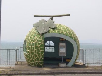 Unusual Bus Stops