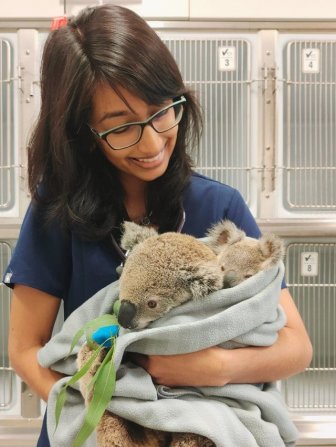 Animals At The Veterinarians