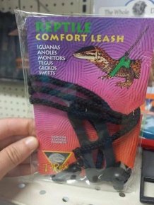 Odd Finds In Thrift Shops