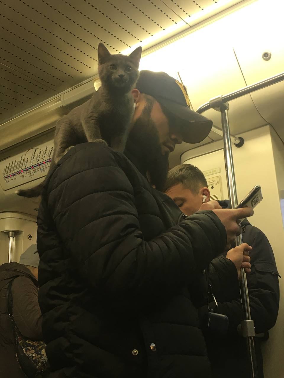 Strange People In The Subway, part 29