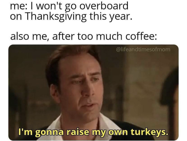 Funny Memes About Thanksgiving Day