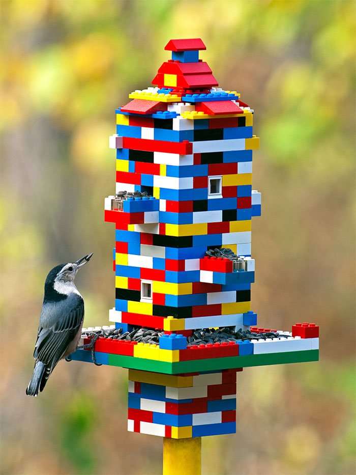 Unusual ''LEGO'' constructions