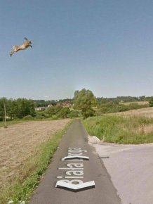 Interesting Google Street View Photos