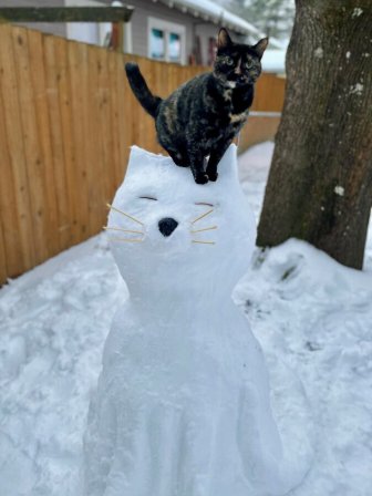 Funny Winter Photos With Animals