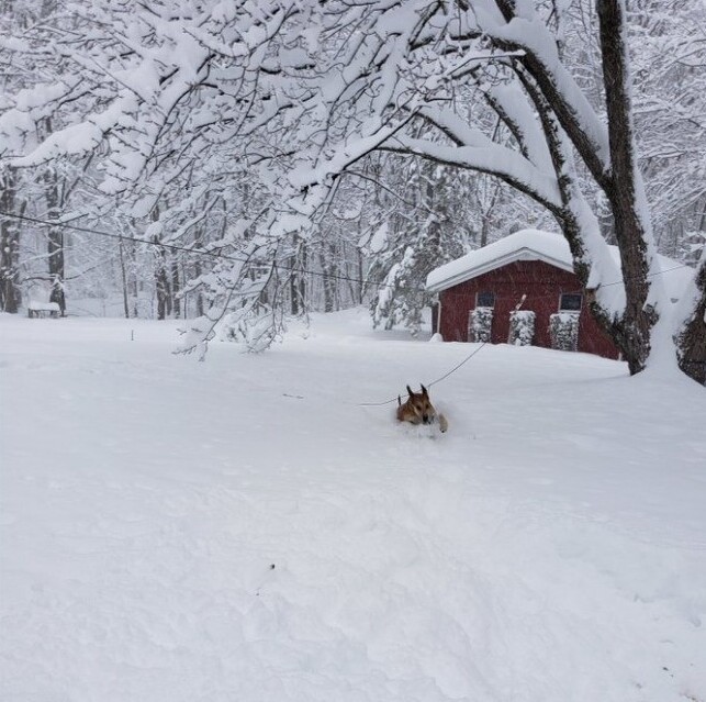 Winter Photos From Buffalo