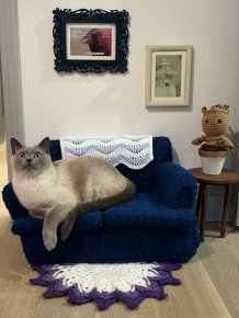 Homemade Sofas For Cats