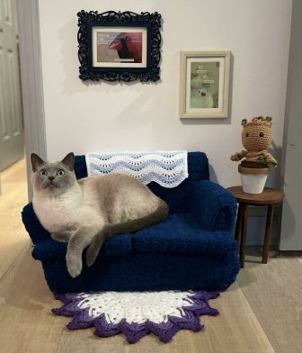 Homemade Sofas For Cats