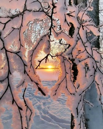 Cool Winter Photos