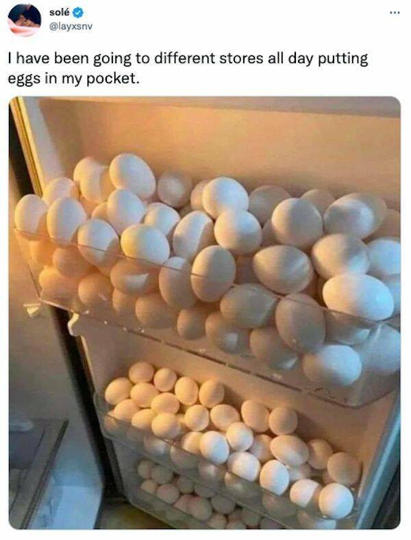 Egg Price Memes