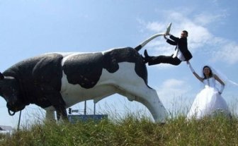 Strange Wedding Photos