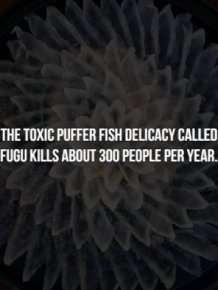 Creepy Food Facts