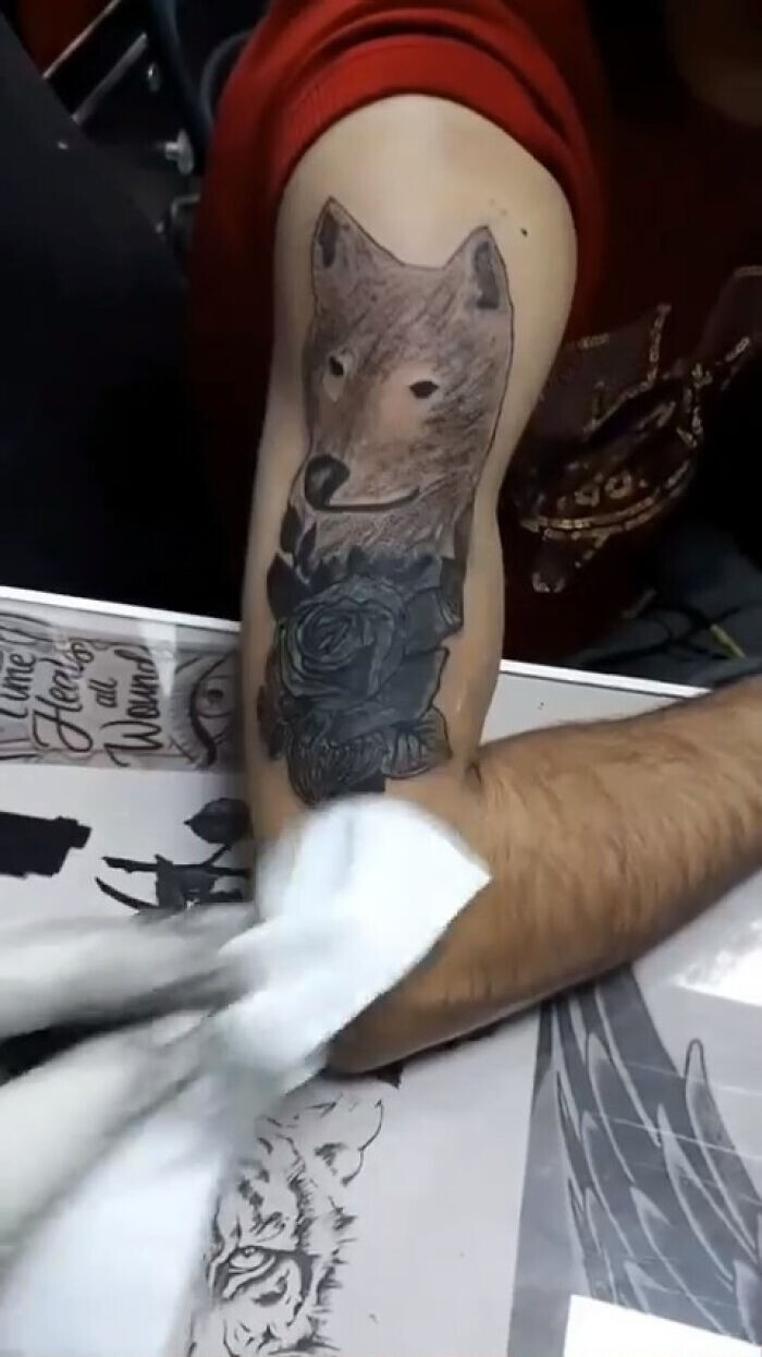 Sine metu (Without fear) sine metu nulla audacia lettering original tribal  tattoo design