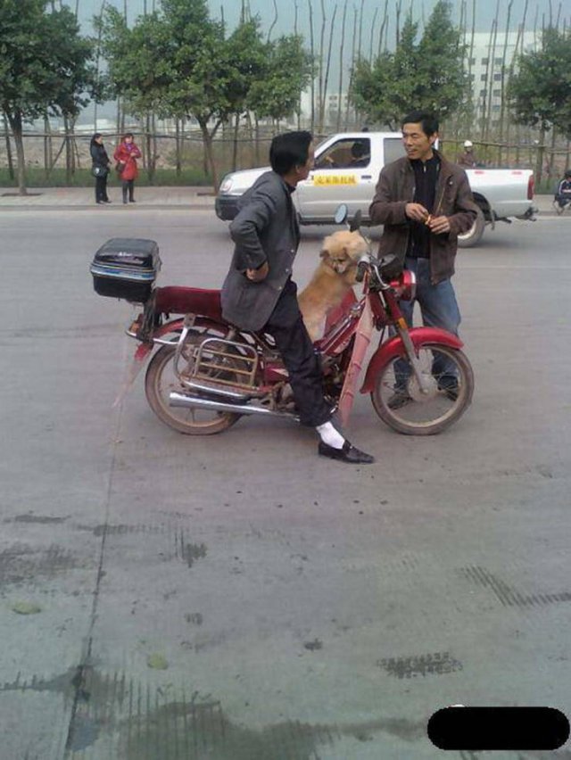 Strange Photos From Asian Countries, part 17