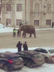 Strange Photos From Russia