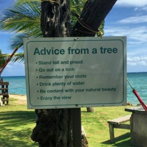 Useful Advices