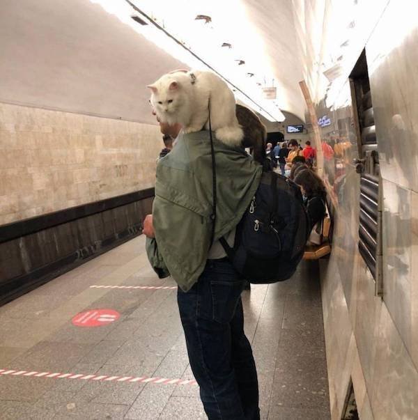 Strange People In The Subway, part 43