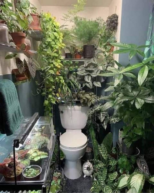 Strange Bathrooms