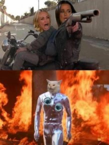 ''Terminator'' Memes
