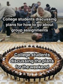 Memes About College Experience