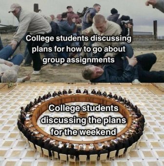 Memes About College Experience