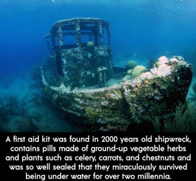 Interesting Historical Finds Others Interesting Historical Finds Others
