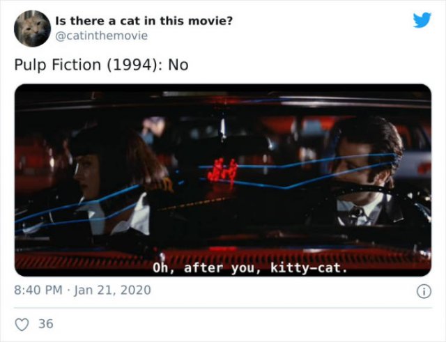 Cats That Have Been Spotted In Movies