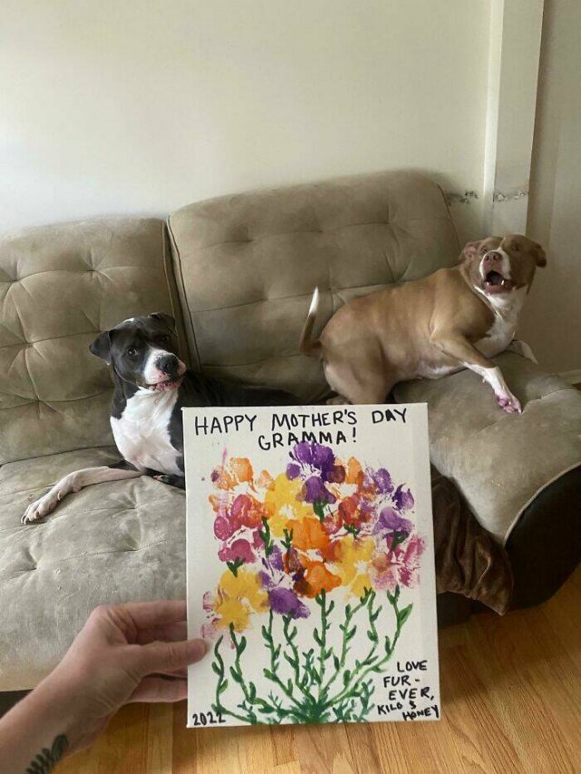 Heartwarming Mother's Day Gifts