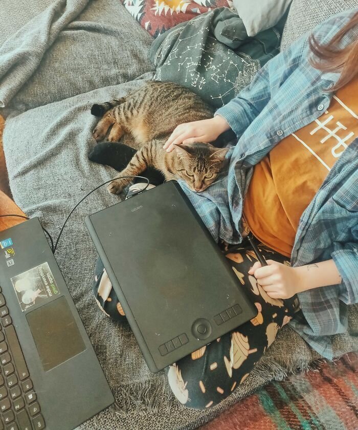 Pets And Remote Work