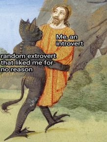 Memes For Introverts