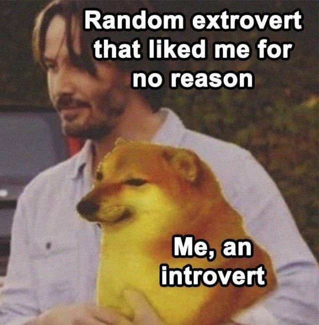Memes About Introverts
