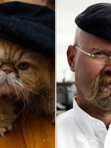 Celebrities And Their Animal ''Doppelgangers''