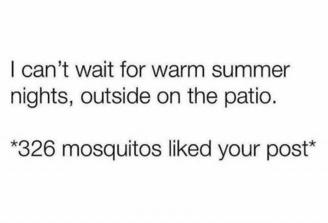 Memes About Hot Summer