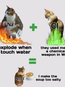 Science Memes