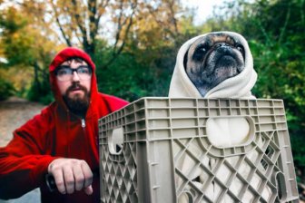 Funny Pets In Halloween Costumes